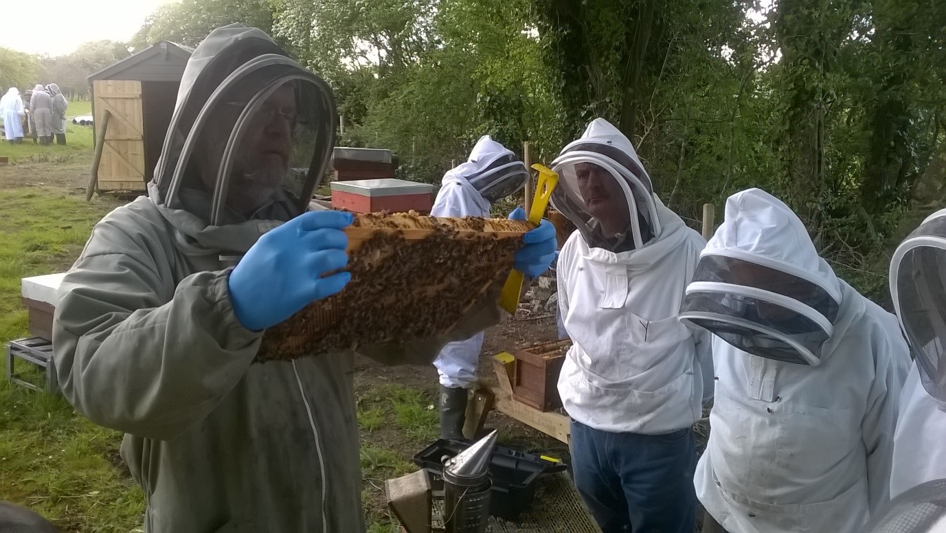Limerick Beekeepers Association Annual Beginner Course 2018