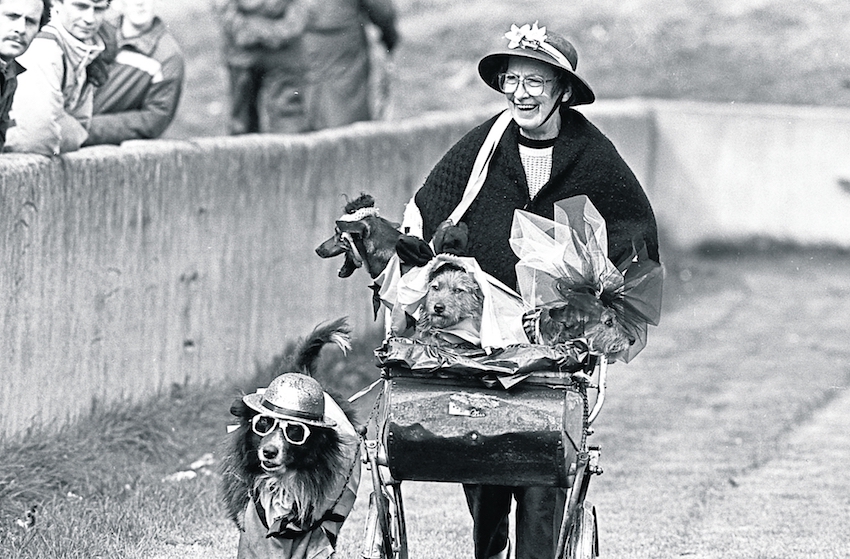 Dodo Reddan and her pram of dogs