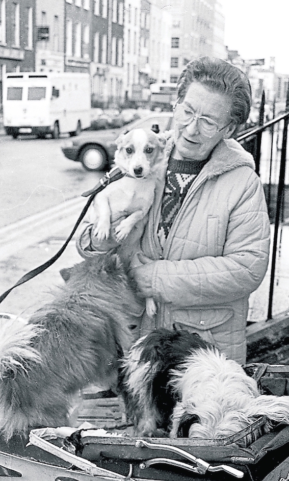 Dodo Reddan and her dogs 