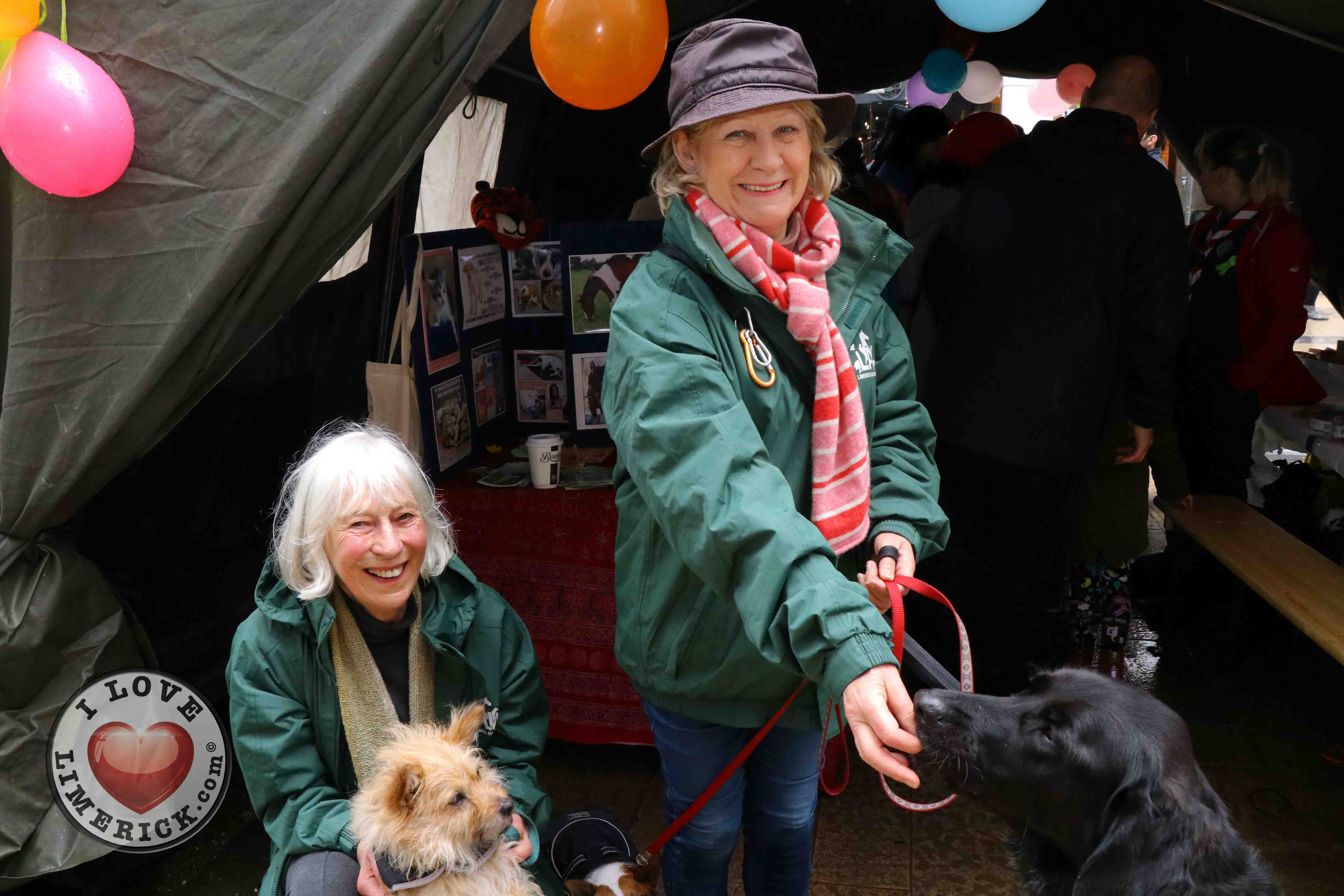 Limerick Festival of Kindness Family Fun Day 2018