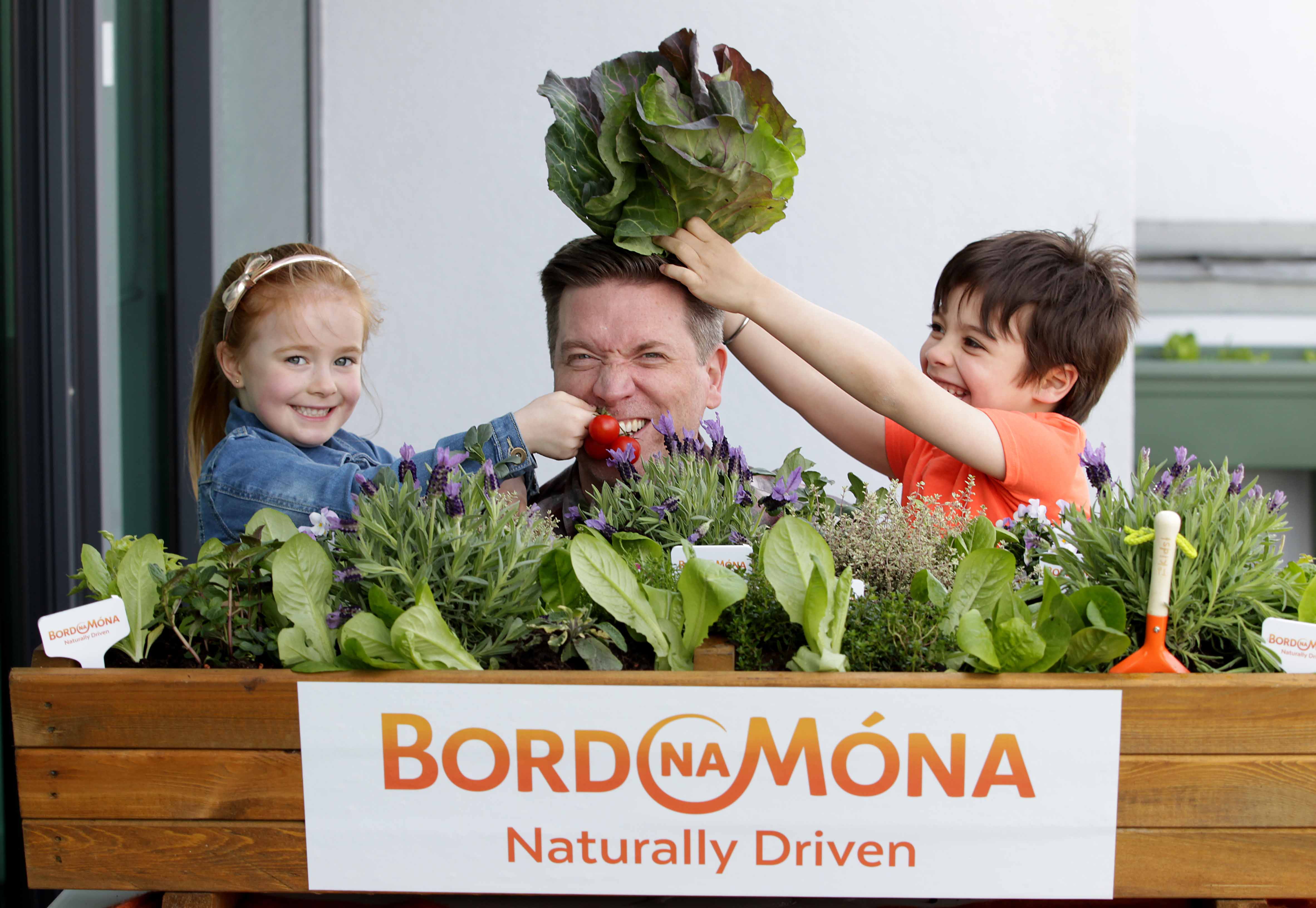 Bord na Mona visit Limerick