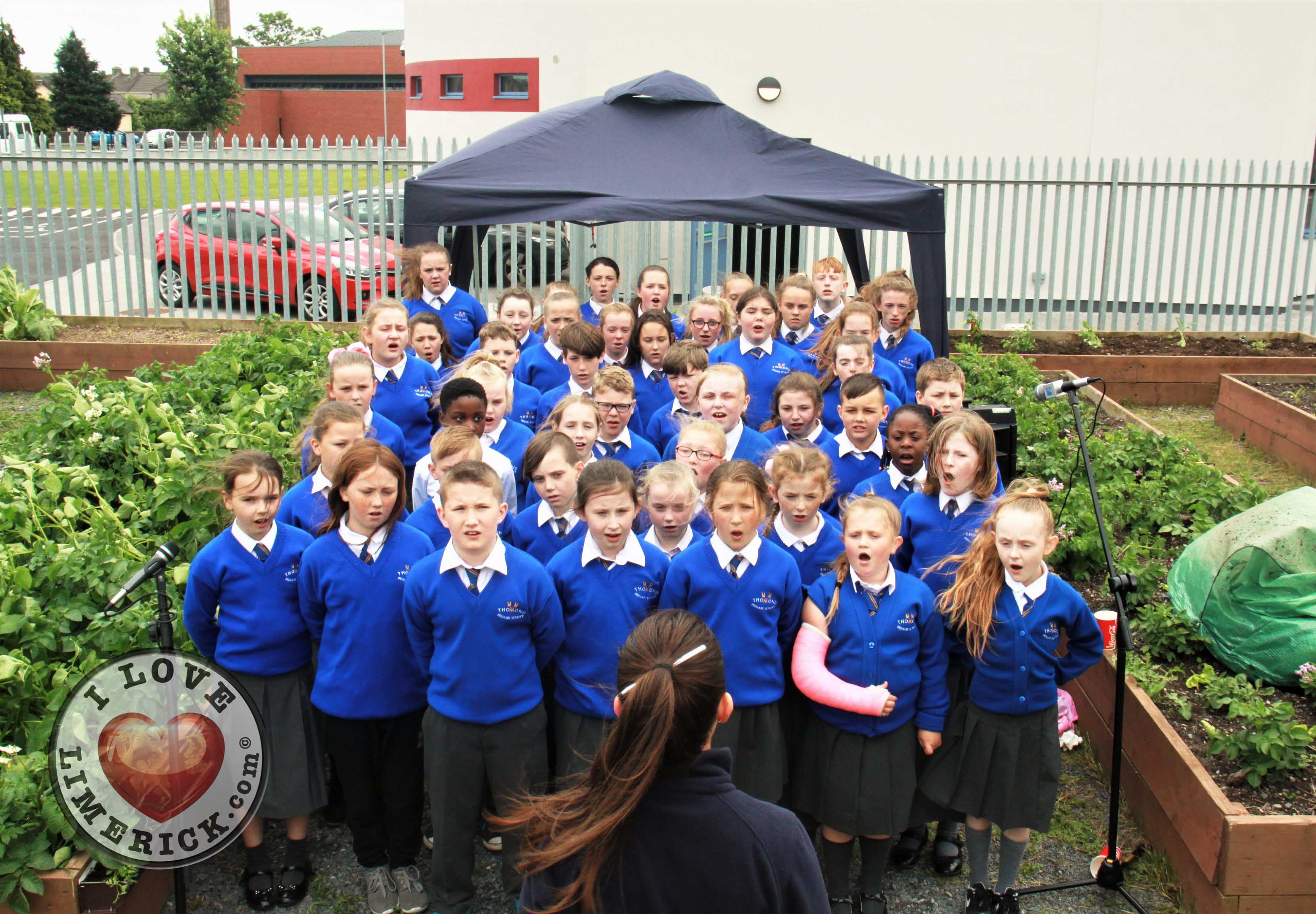St Munchins Community Allotments