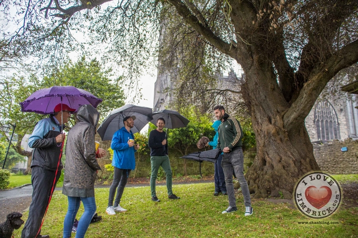 Limerick Walking Tours