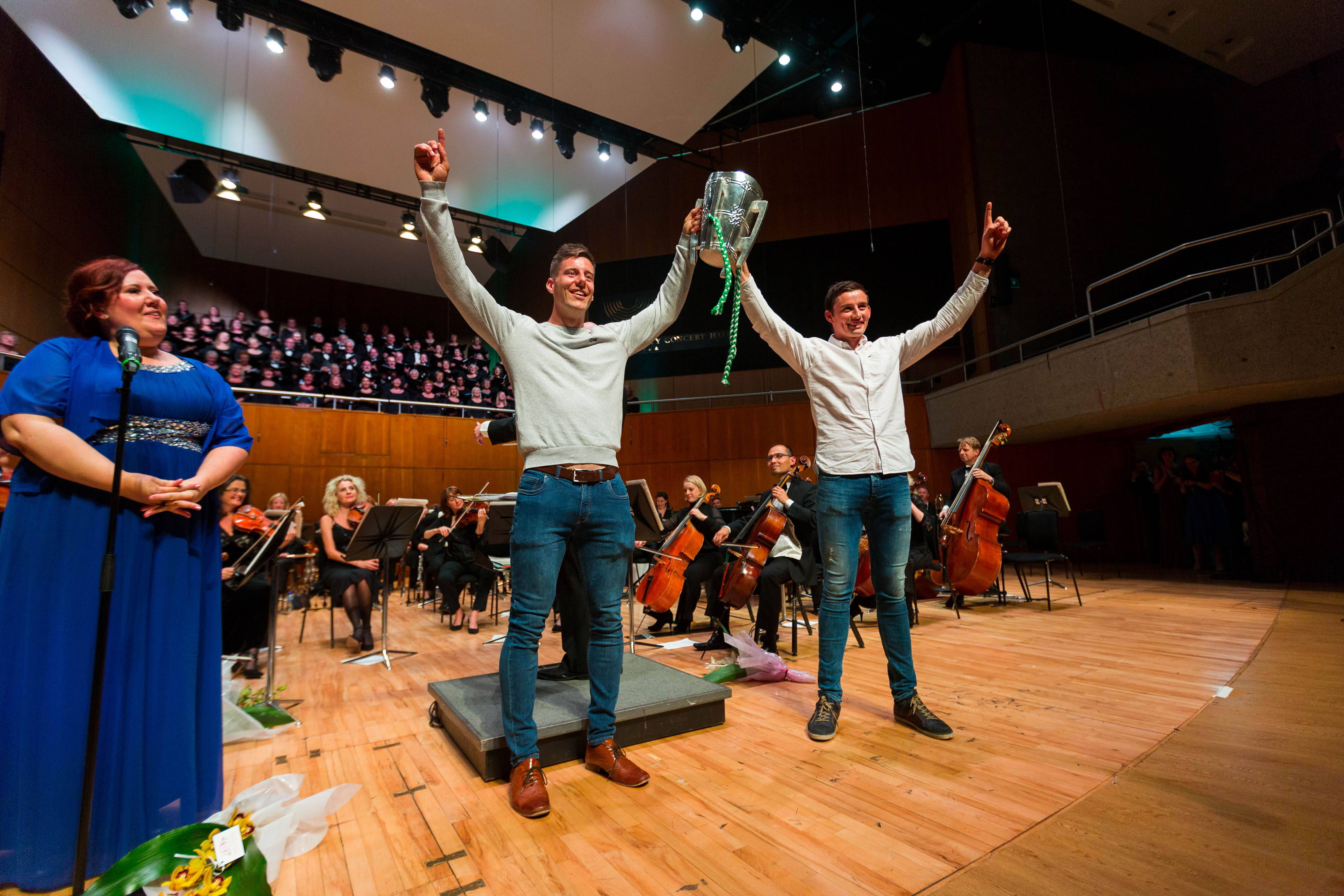 Limerick hurling stars