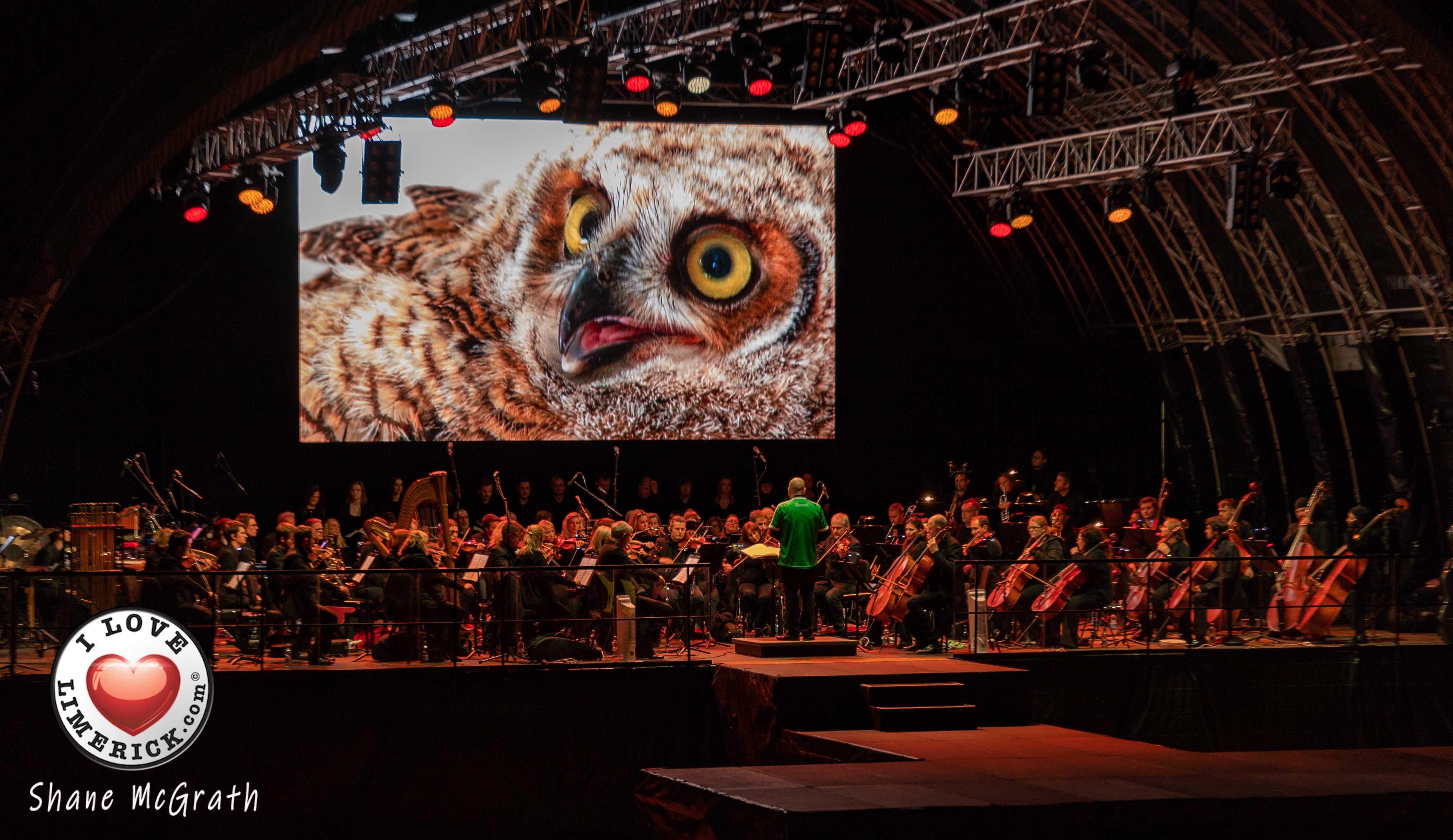 National Geographic Symphony Limerick