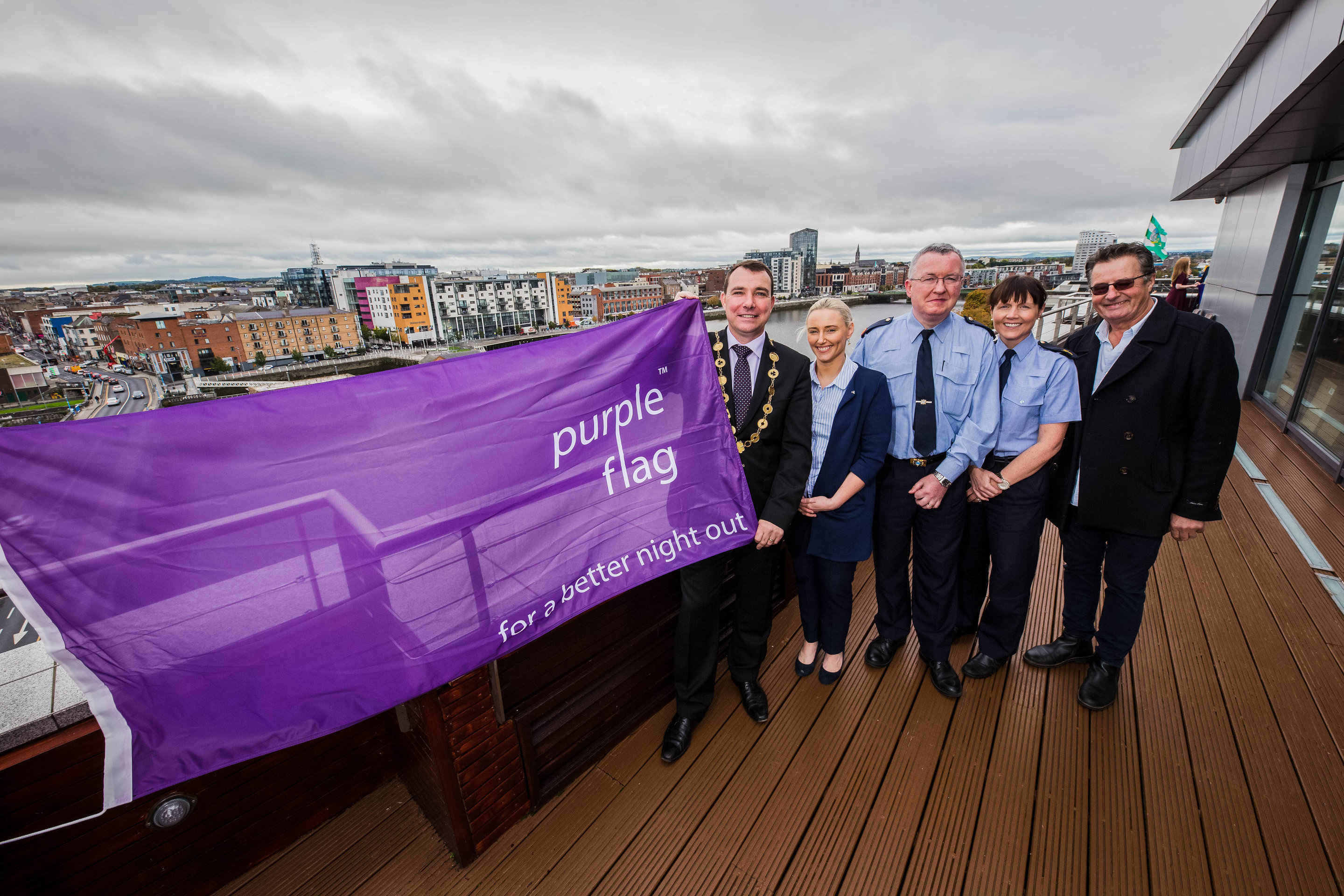 Paint Limerick Purple