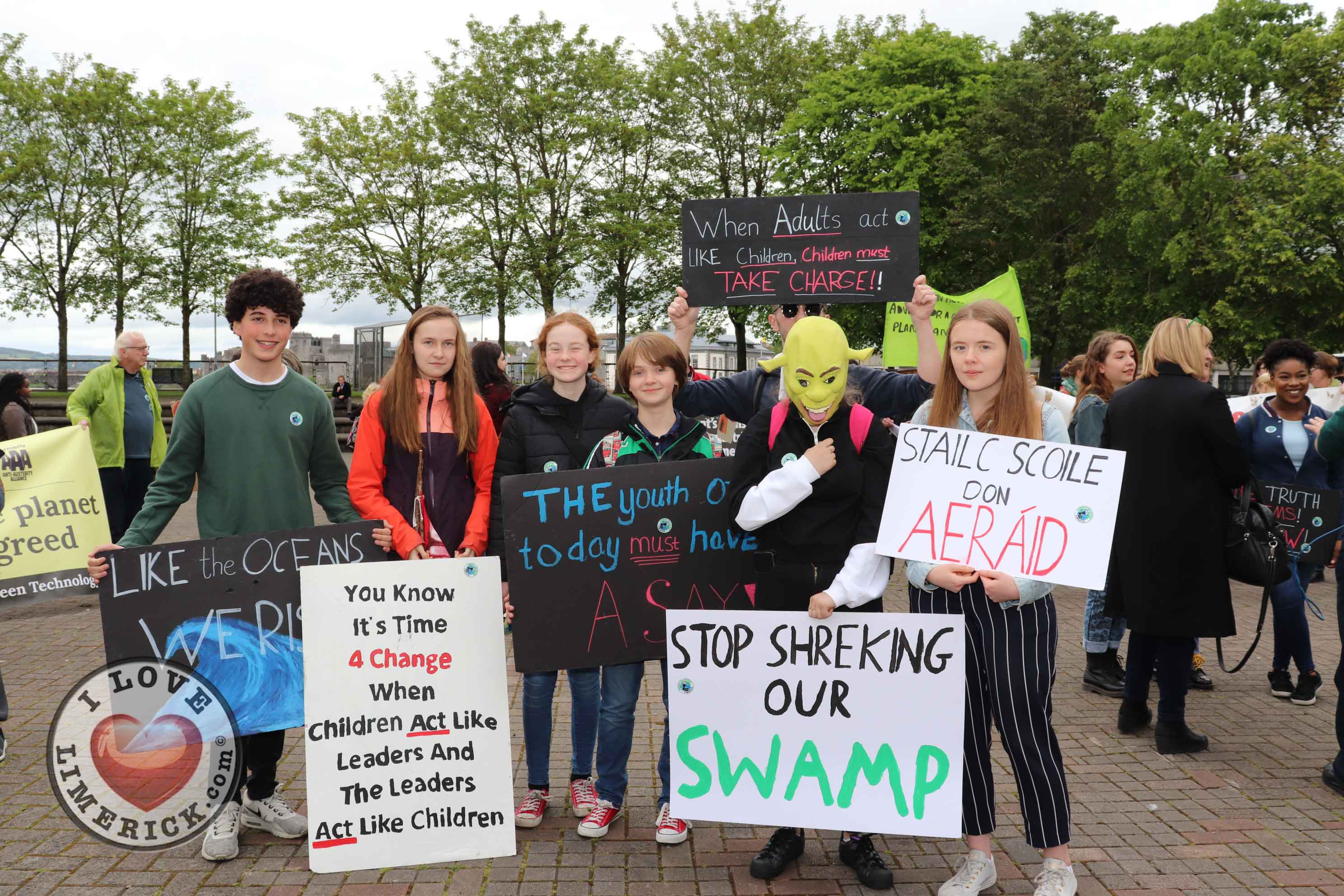 fridays for future limerick