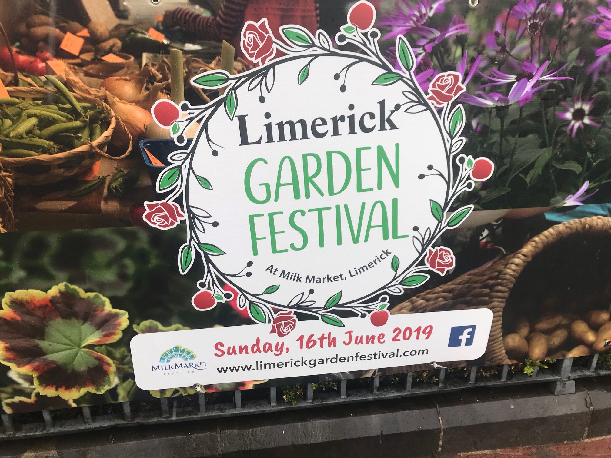 limerick garden festival 2019