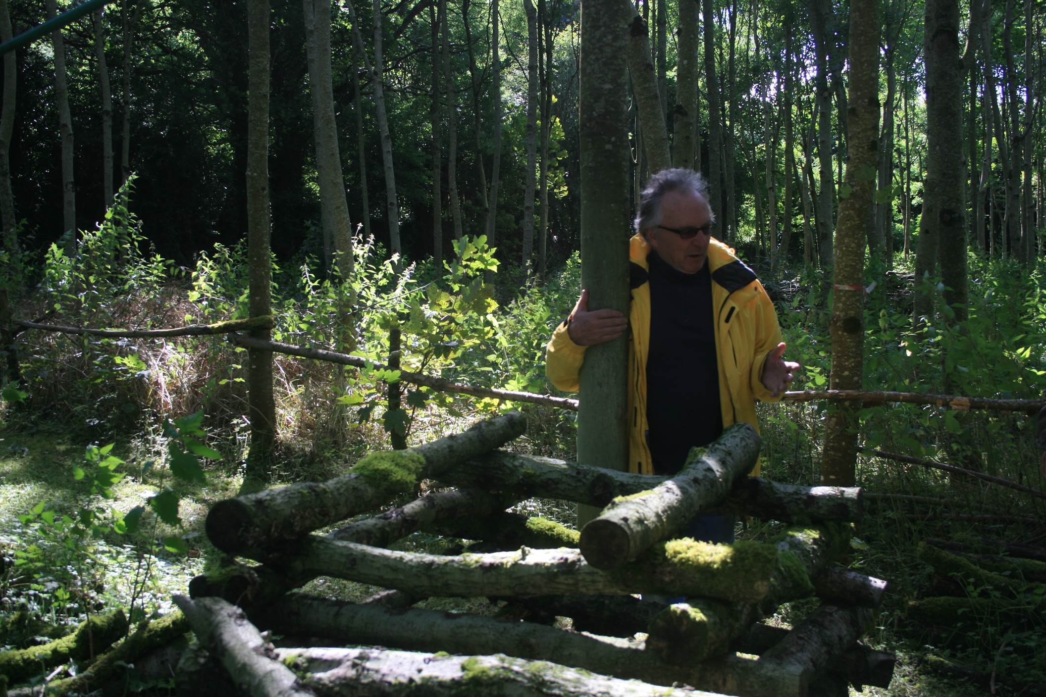 RDS Irish Forestry Awards