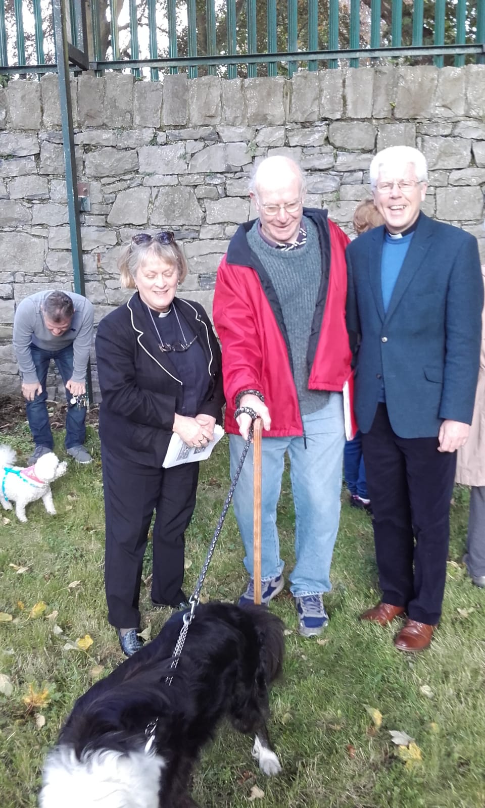 Limerick Blessing of Animals