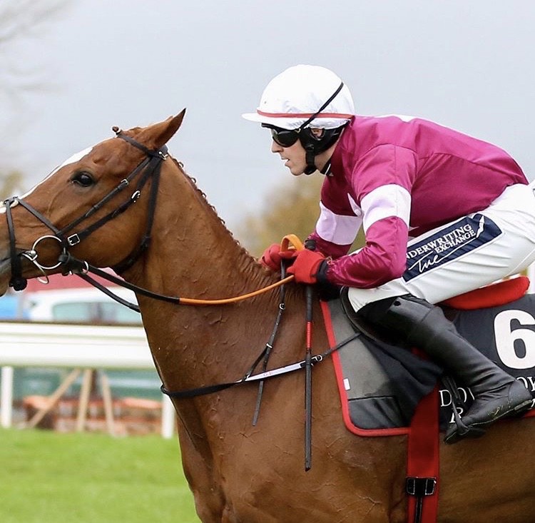 Matchbook Betting Exchange Novice Chase