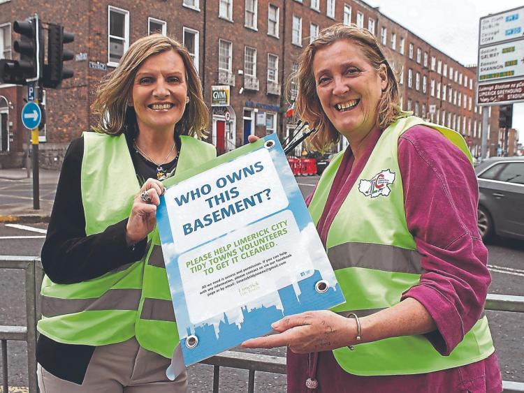 Limerick Tidy Towns competition 2020