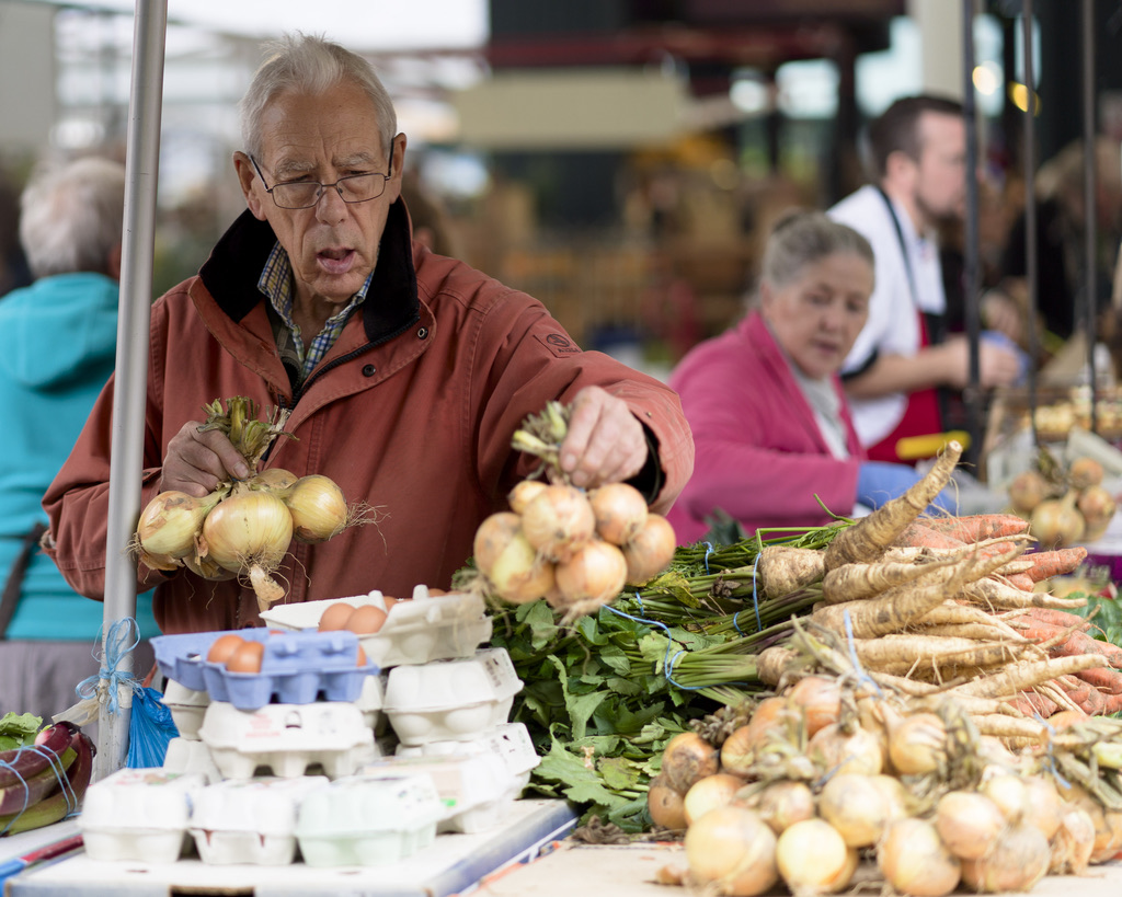 milk market to reopen