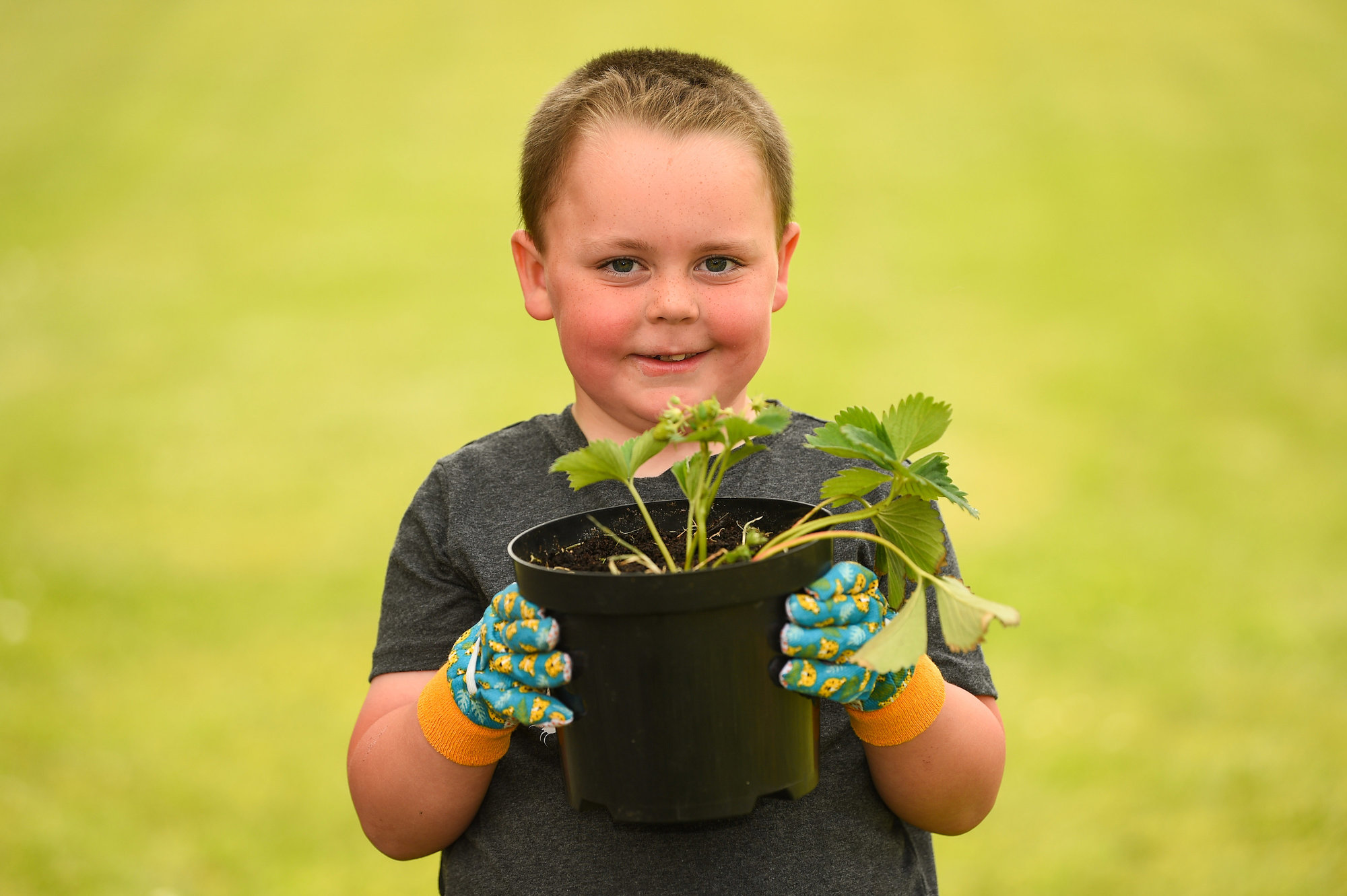 International Biodiversity Day