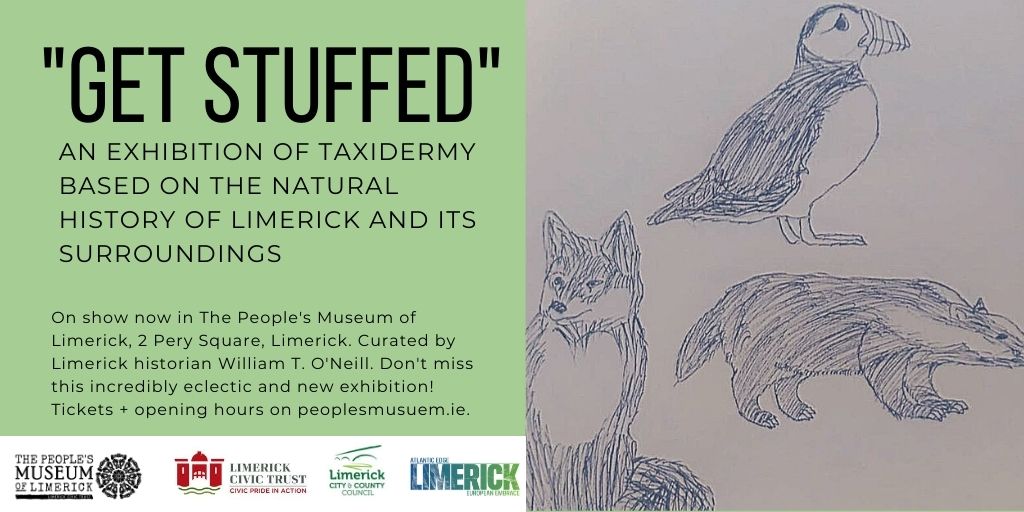 Historical Limerick Taxidermy