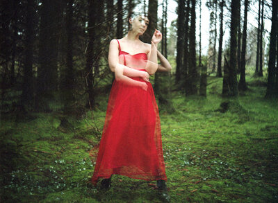 Birdsong Emma Langford