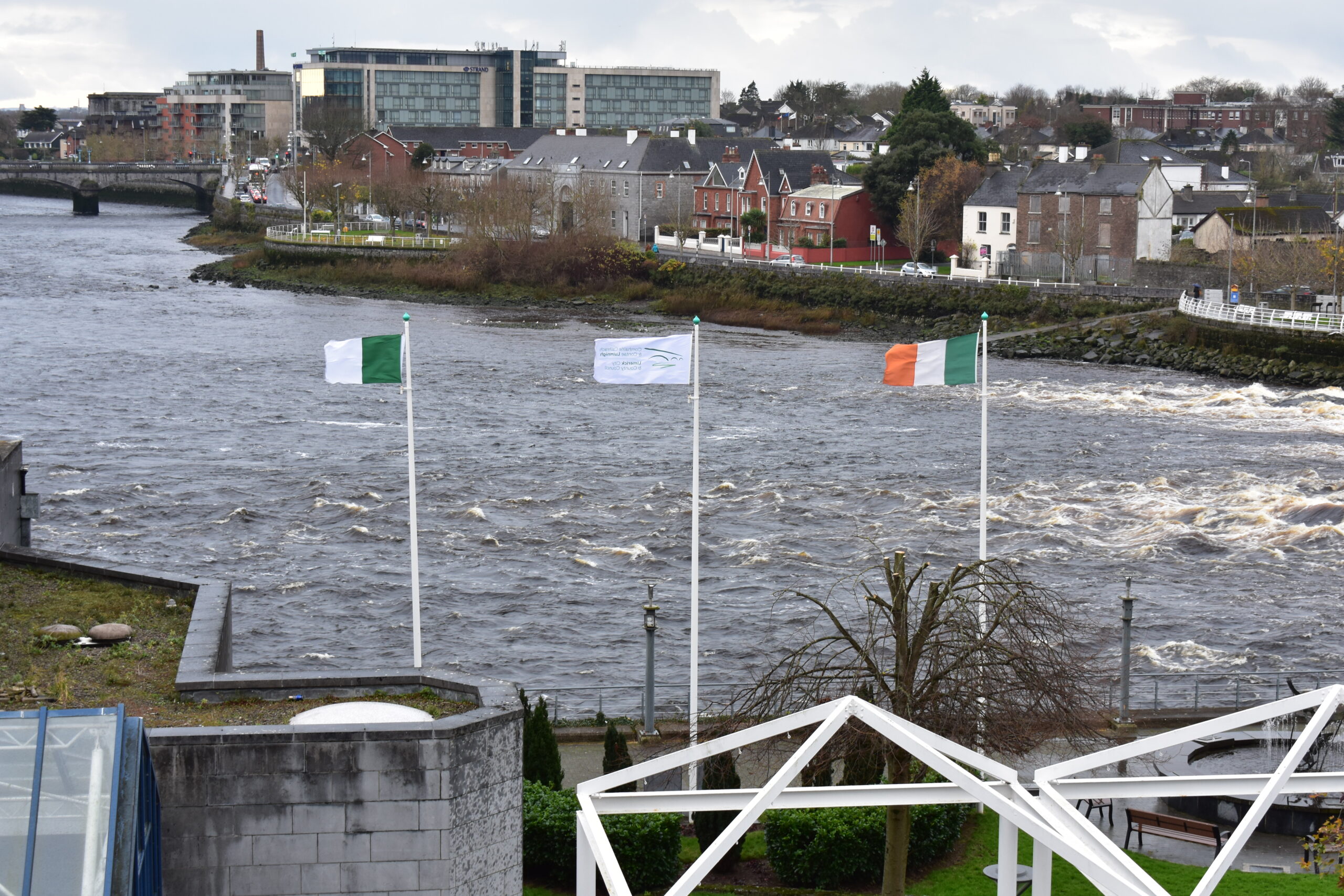 Limerick goes Green