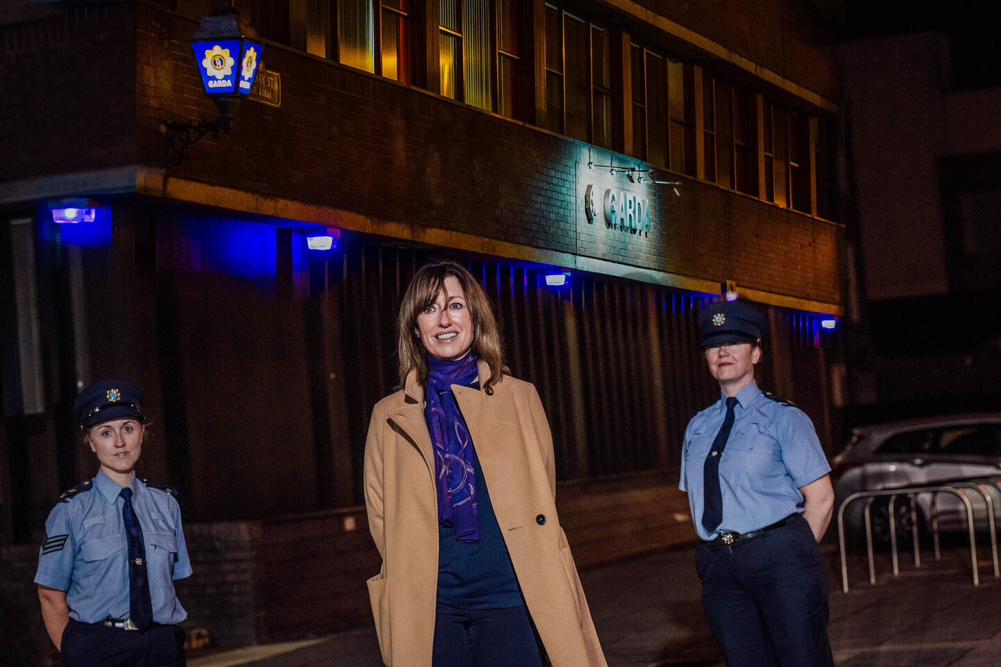 Limerick Garda domestic violence