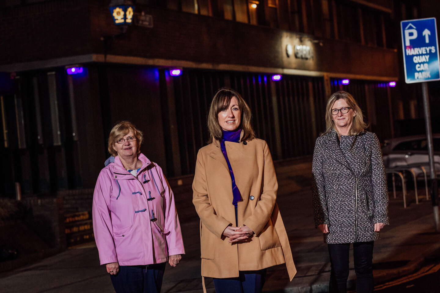 Limerick Garda domestic violence