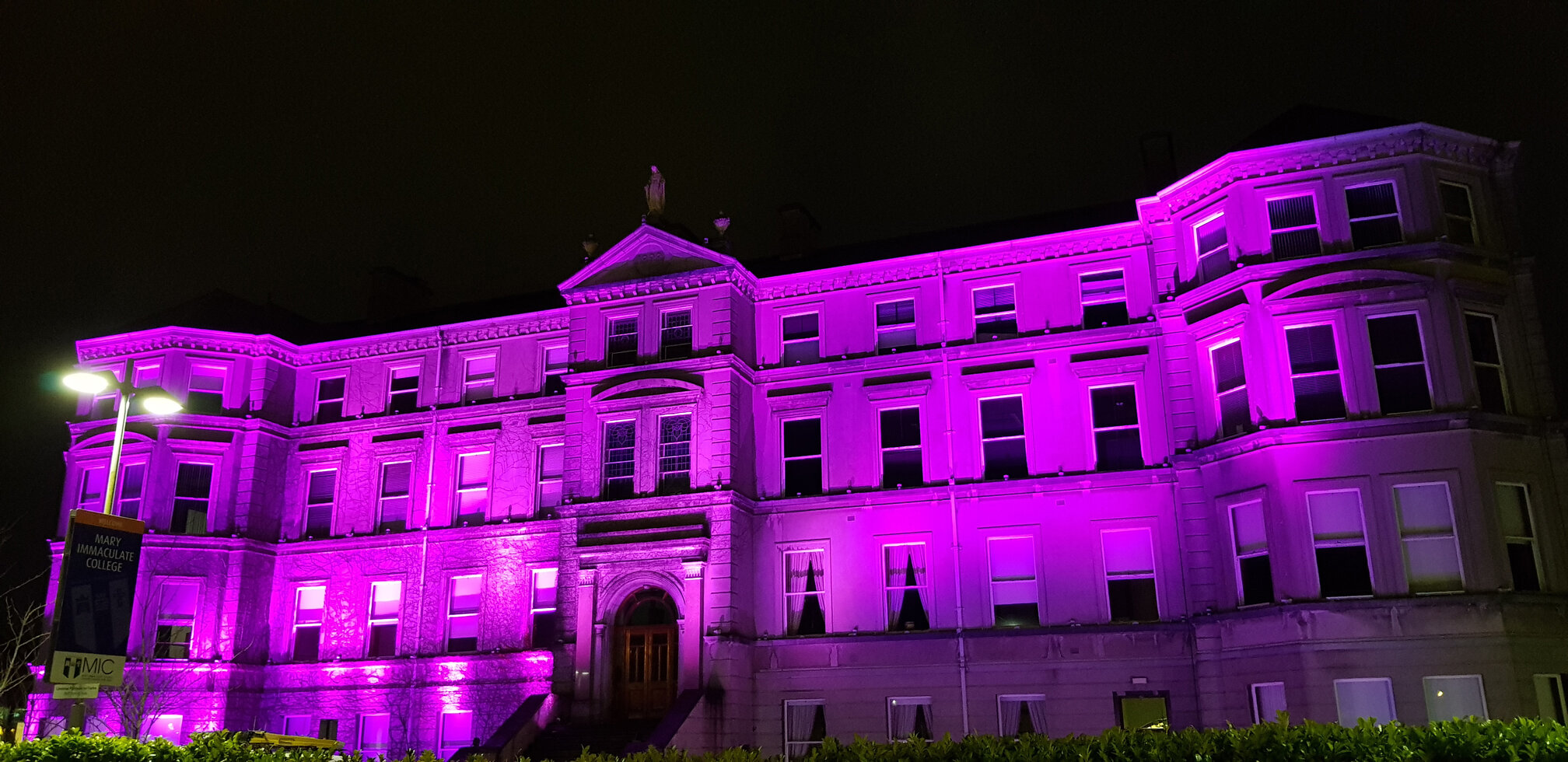 Linc Purple Lights Campaign