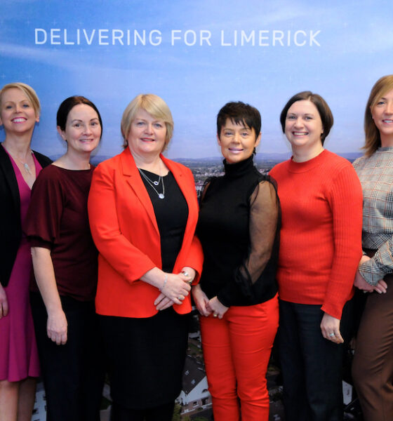 LEO Limerick online business training