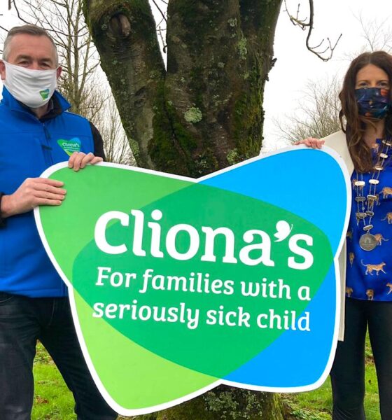 Network Ireland Limerick Clionas partnership