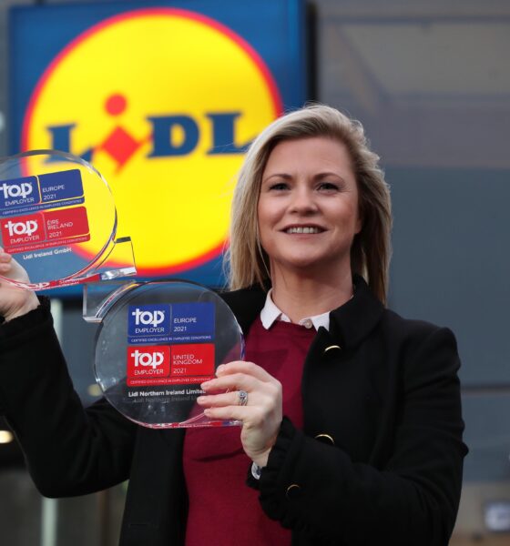 Lidl Limerick jobs