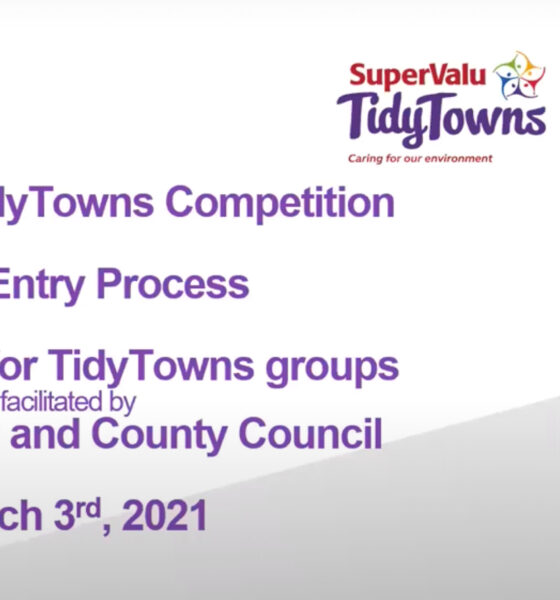 Tidy Towns webinar