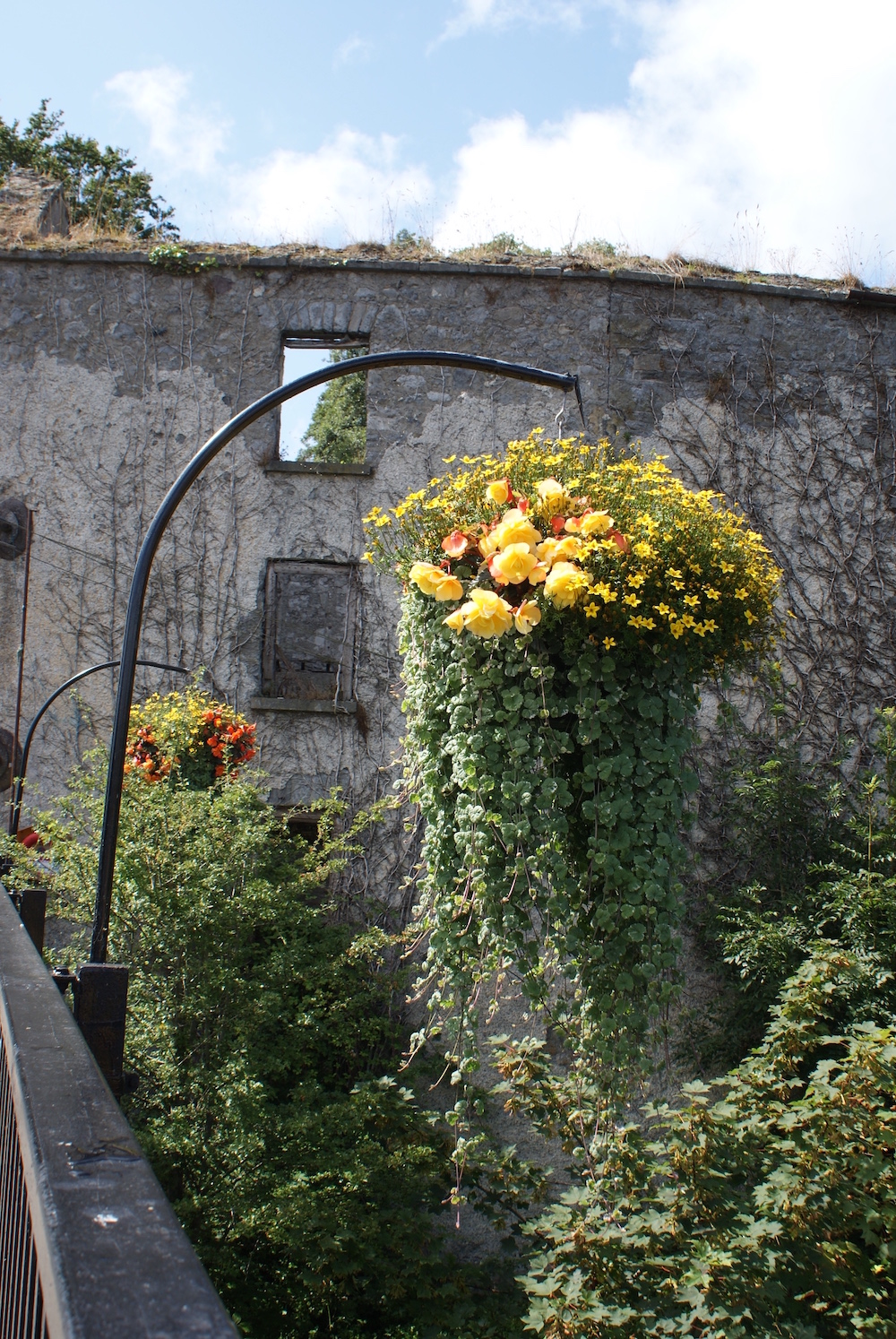 Croom Tidy Towns