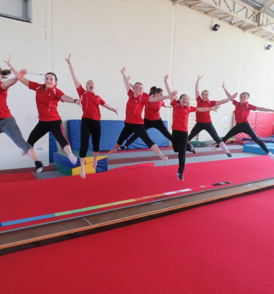 Limerick Gymnastics Club are asking for your help and support in their fundraiser for equipment and operating costs