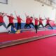 Limerick Gymnastics Club are asking for your help and support in their fundraiser for equipment and operating costs