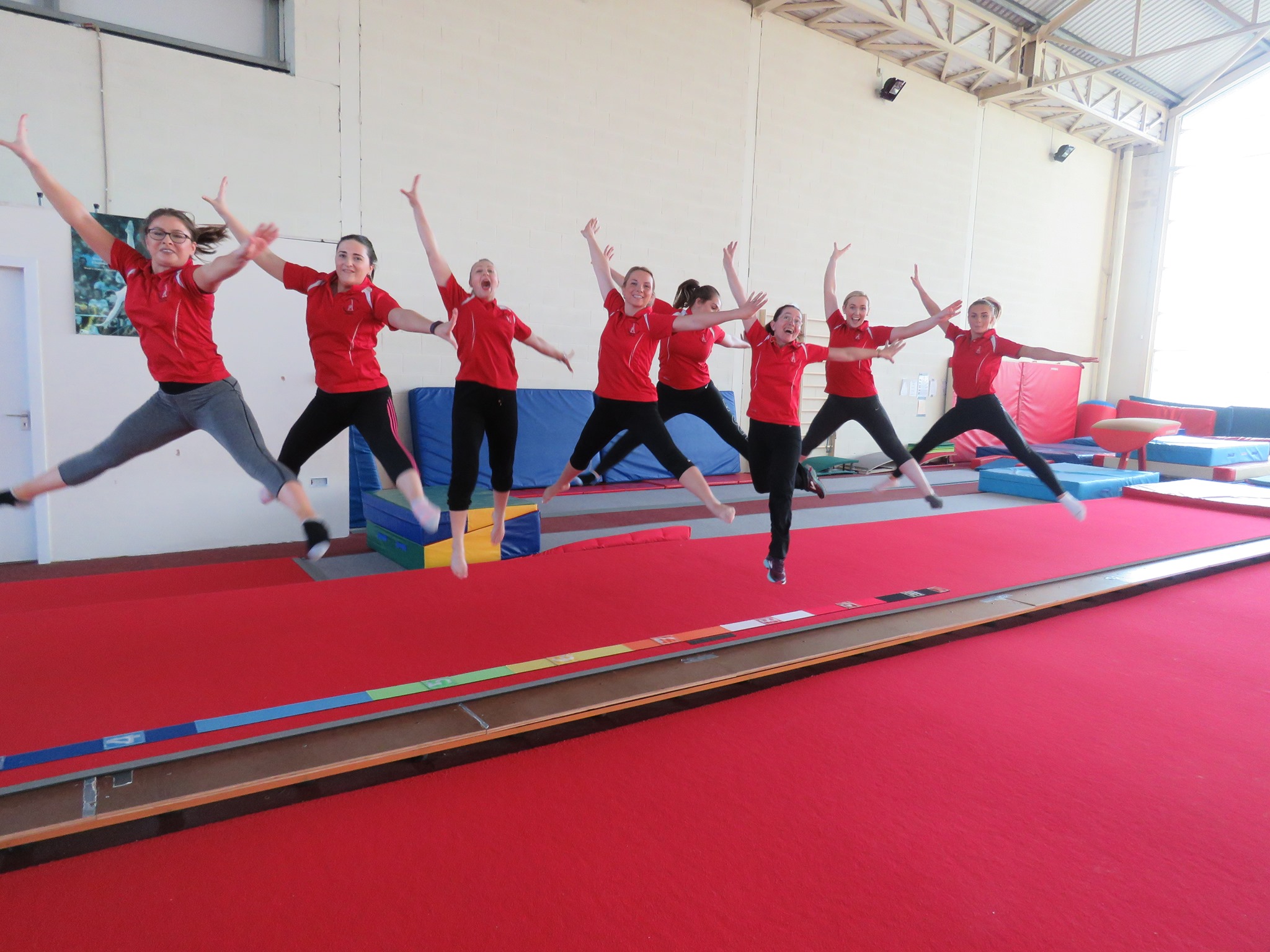 Limerick Gymnastics Club are asking for your help and support in their fundraiser for equipment and operating costs