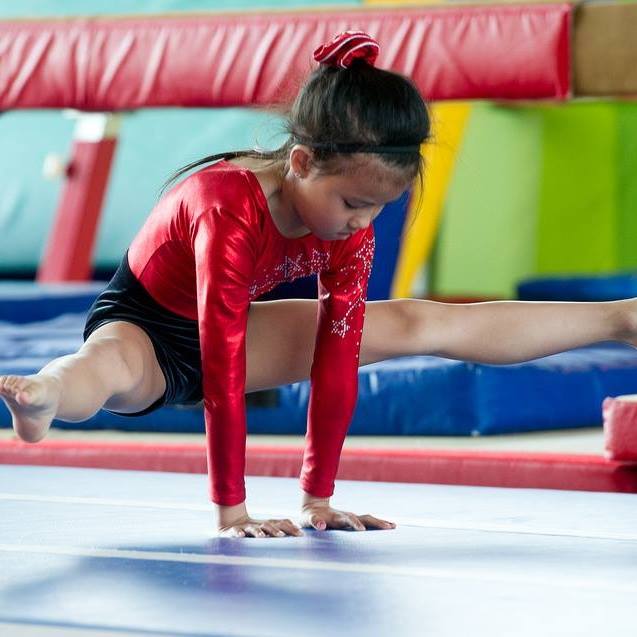 Limerick Gymnastics Club is a fun and progressive club catering for members aged four to late teens in a fully equipped training space
