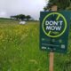 Pollinators for Earth Day is a significant aspect of Earth Day this year. Homeowners are encouraged to sign up and pledge their garden under the Limerick City and County Council ‘s new plan to save the pollinators.