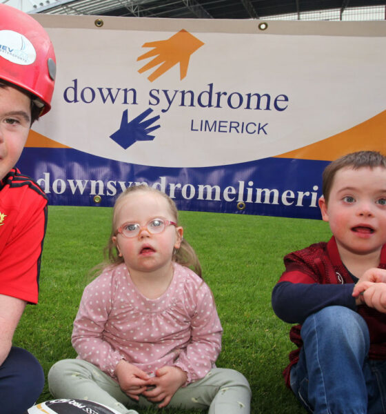 Down Syndrome Limerick Abseil