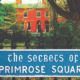 The Secrets of Primrose Square by Claudia Carroll, based on her book of the same name will be able available to stream from Wednesday July 7 to Saturday July 10 2021.