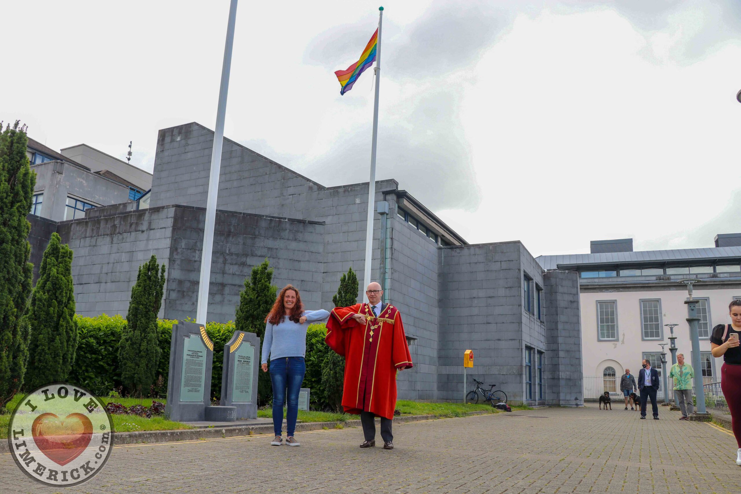 Limerick Pride Flag