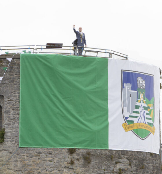 Mayor Limerick Flag