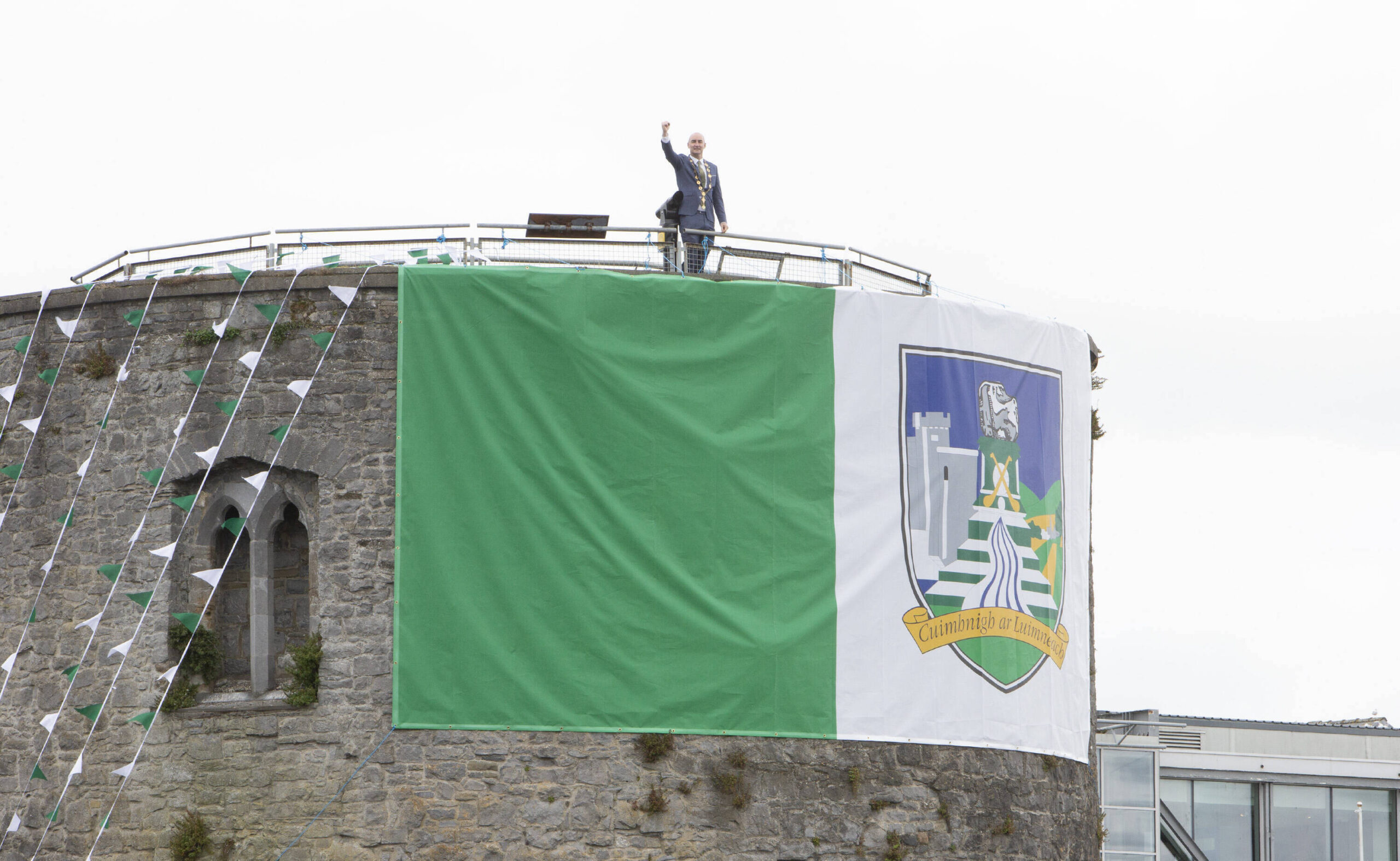 Mayor Limerick Flag