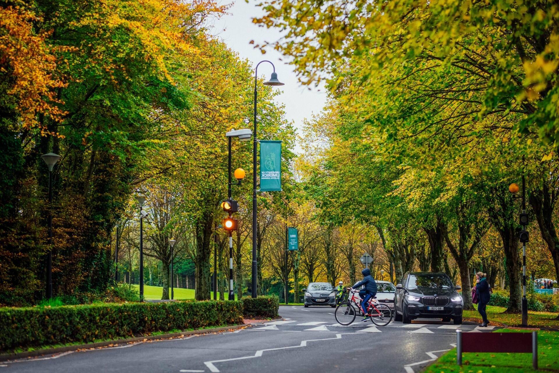 ul accommodation crisis Students continue to commute or live in hotels, scrambling for beds as UL approaches the mid-semester break.