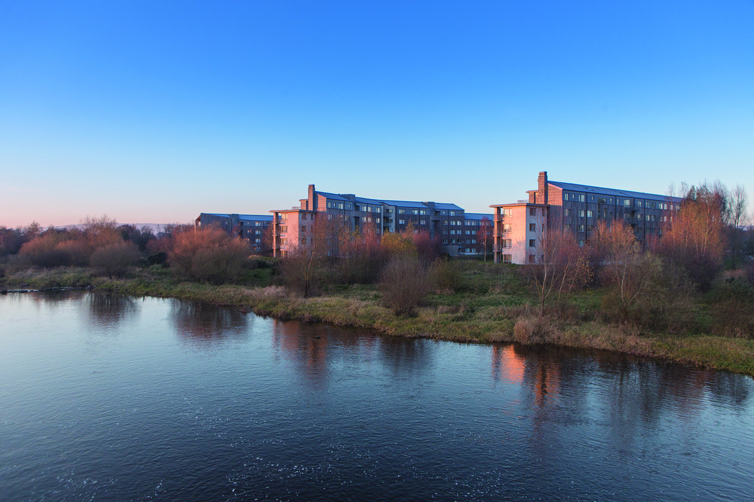 UL accommodation - A plea to Castletroy, Rhebogue and Limerick city residents circulated online asking locals to consider renting spare rooms to UL students.