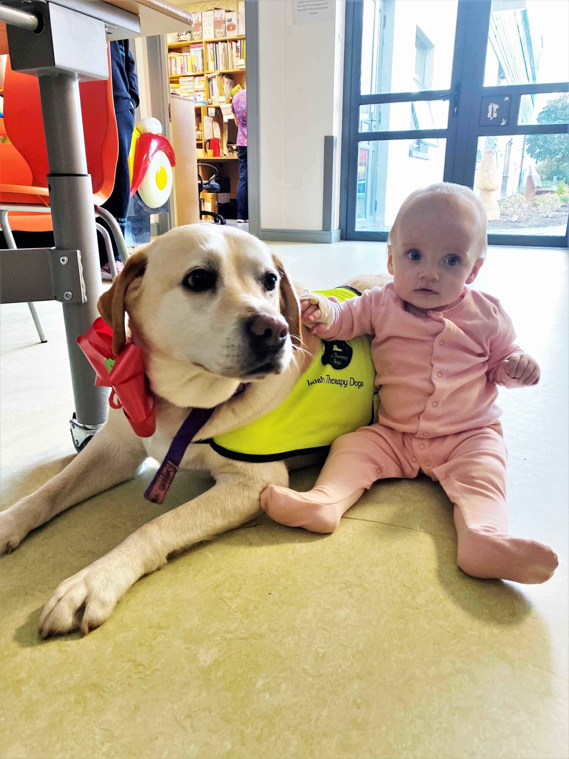 UHL Childrens Ark therapy dog Katie Liston from Newcastle West, County Limerick, pictured with Bonnie 
