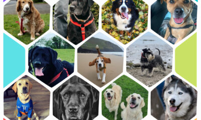Big Bark podcast Calendar and Merchandise are set to benefit Animal Charities this festive season.