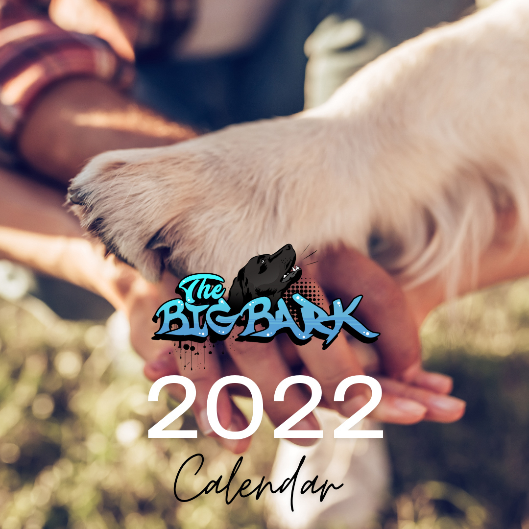 Big Bark podcast The Calendar is made up of a combination of images featuring dogs of followers in addition to dogs in the care of charity partners and dogs who have previously been adopted.