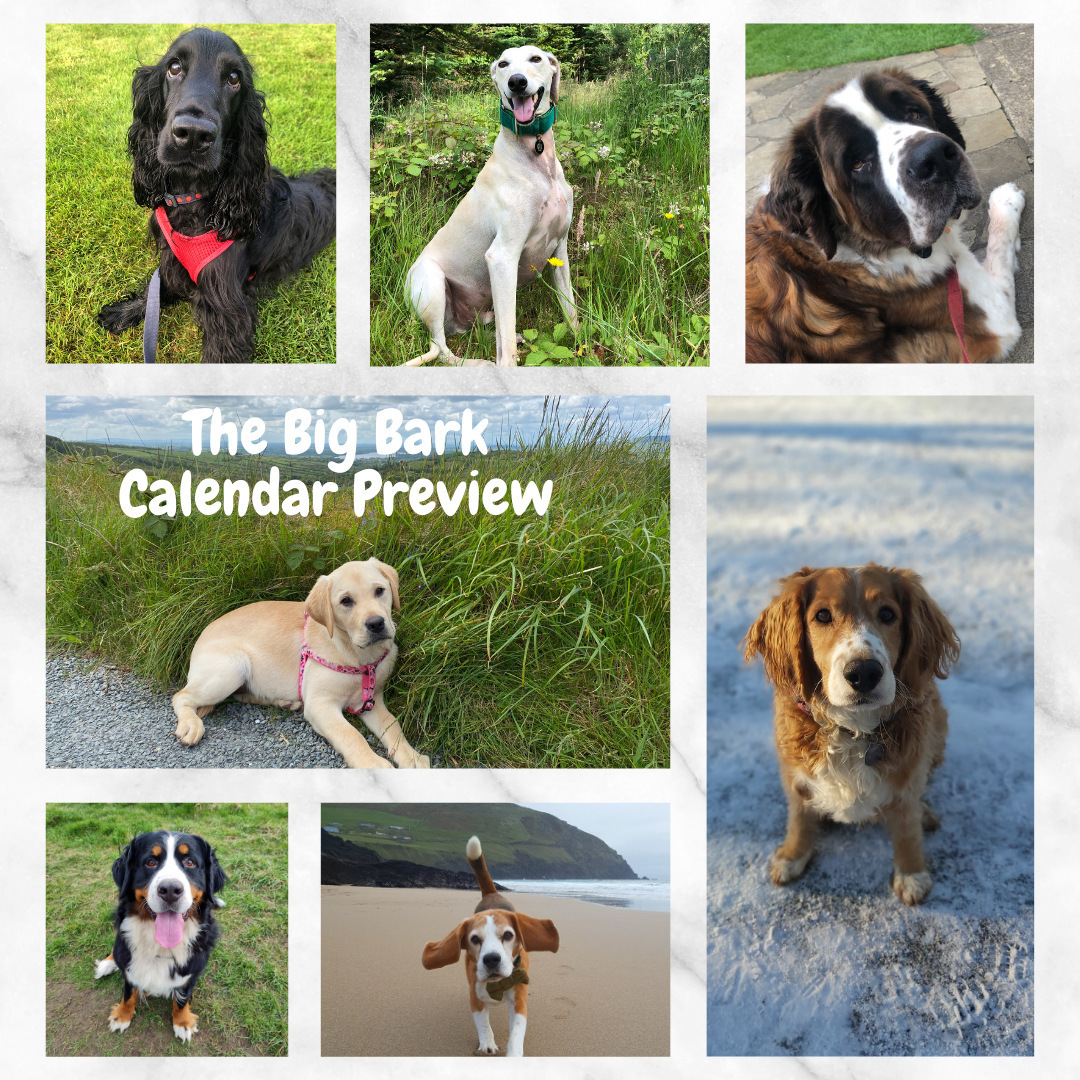 Big Bark podcast In addition to raising funds via the calendar sale, The Big Bark is also offering merchandise for sale, including bandanas for dogs and personalised jigsaws.
