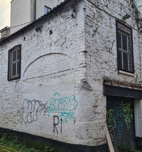 Limerick Mews buildings - Concerns have been raised over the possible demolition of these 19th Century mews buildings on Cecil Street.