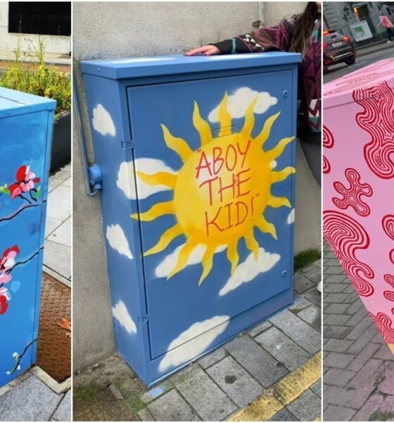Limerick Utility boxes - Kathy Tiernan, Craya O'Donnell and Leah O'Sullivan rejuvenated utility boxes on Rutland Street, Wickham Street and Foxes Bow.