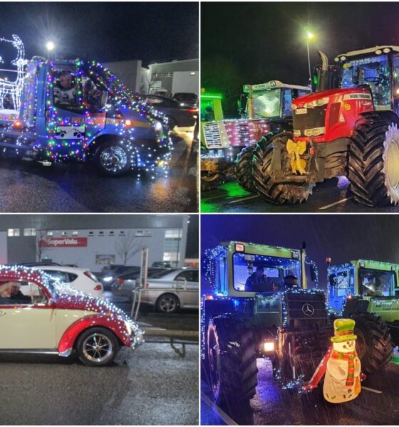 Light Up Limerick 2021 will help the East Limerick Red Cross with their new ambulance base which is currently being built. Pictured above are some of the participants from Light Up Limerick 2020