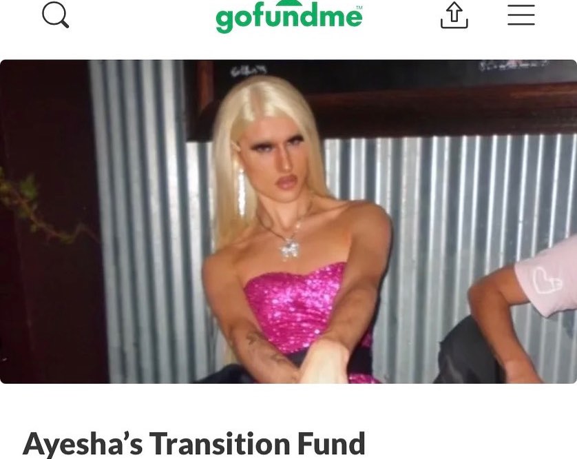 Ayeshas Transition Fund