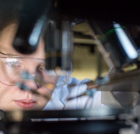 University of Limerick researchers